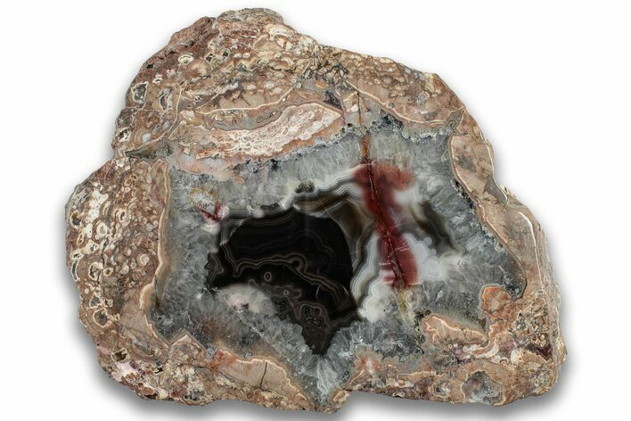 Polished Baker Ranch Thunderegg (Half) - New Mexico #323789